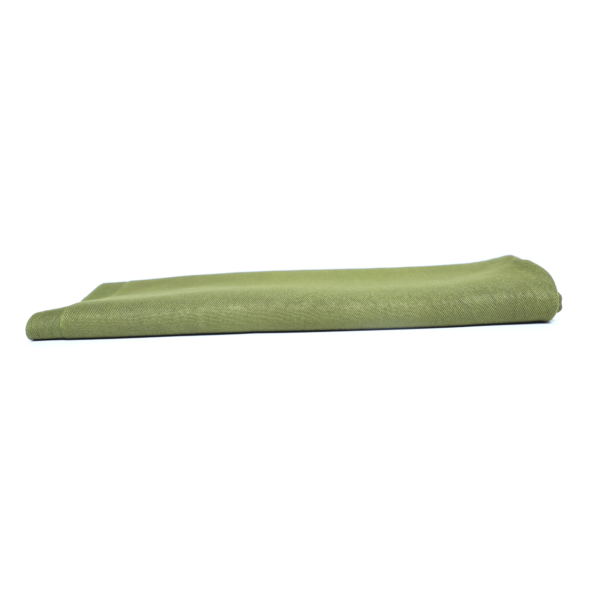 Army Green Pashmina Shawl - Image 4