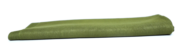 Army Green Pashmina Shawl - Image 3