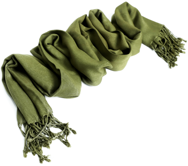 Army Green Pashmina Shawl - Image 5