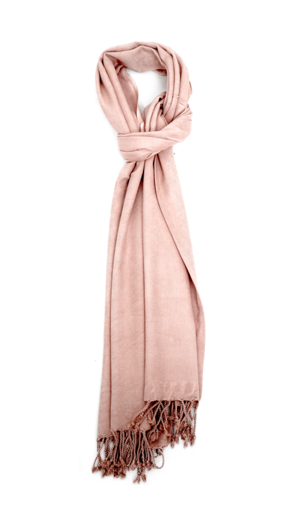 Nude Beige Pashmina Shawl - Image 3