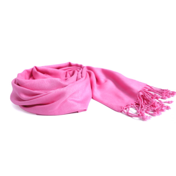 Pink Pashmina Shawl - Image 3