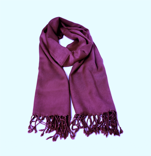 Mulberry Purple Pashmina Shawl - Image 5