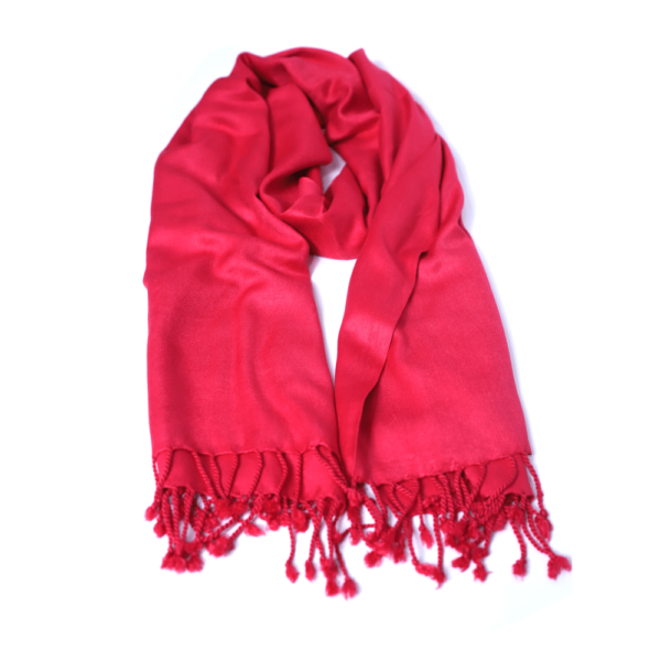 Red Pashmina Shawl - Image 4