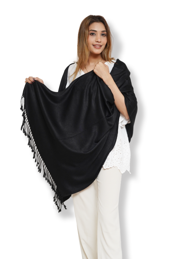 Black Pashmina Shawl